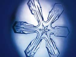 ���������� ���� ������� ������ ��������.