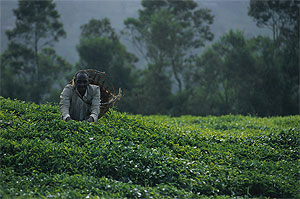 ��������� ���