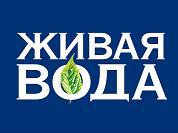 ����� ����