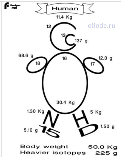 ��������� �������