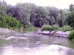 ���� ���