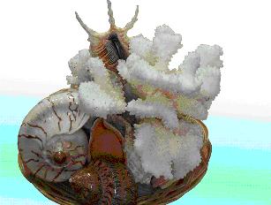 ���������� ����