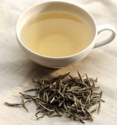 white_tea